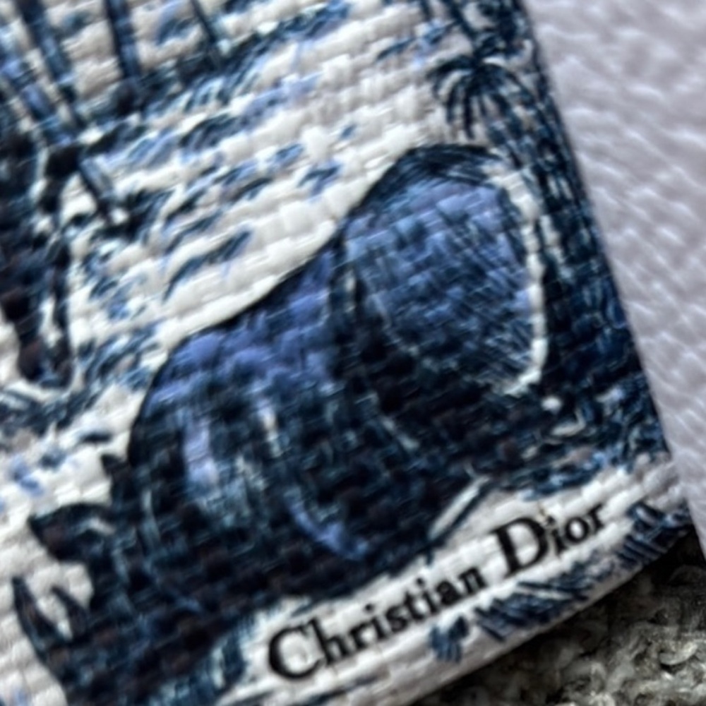 Dior “Around the World”Elegant Tote and Gift Box - Picture 2 of 8